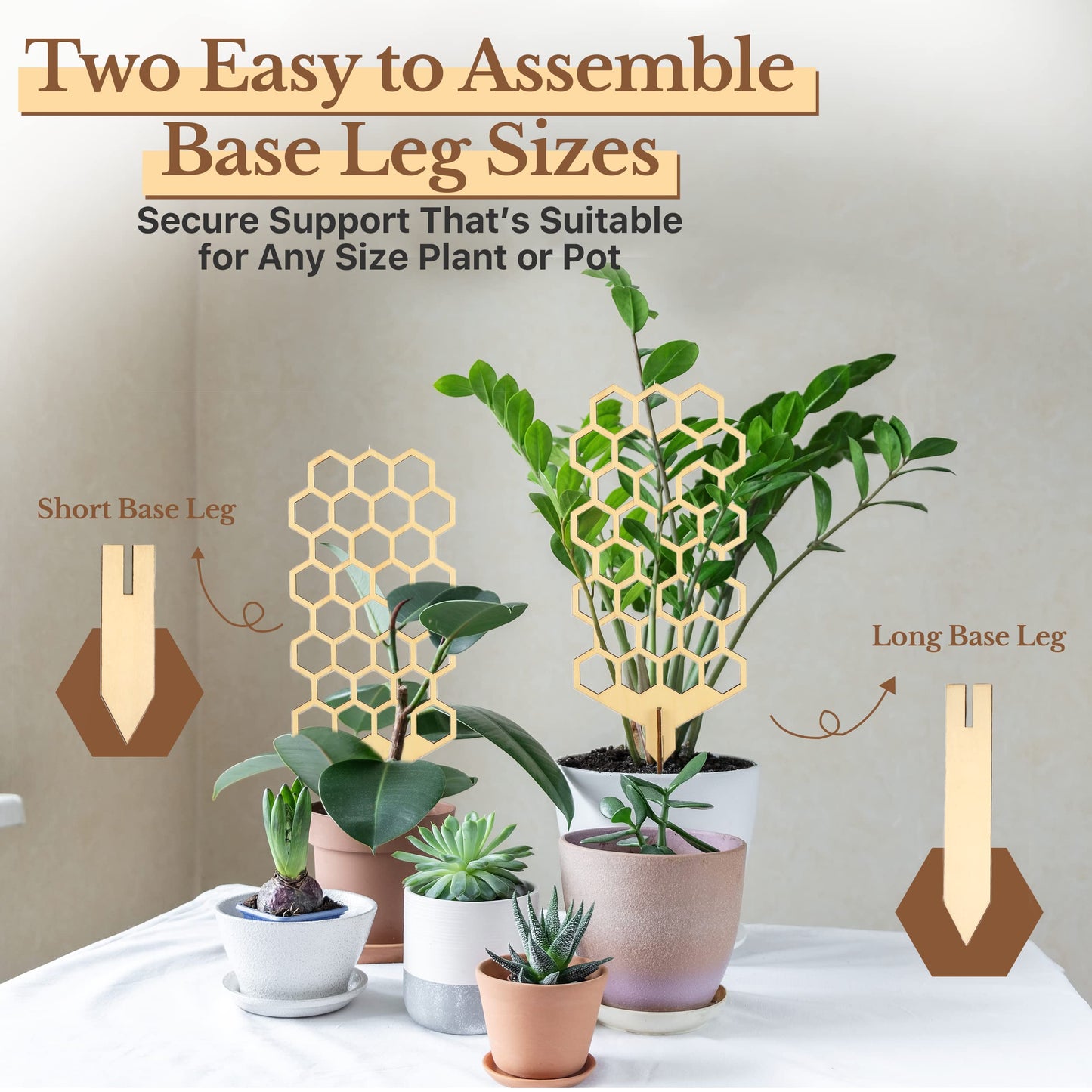 Wood Trellis for Climbing Plants Indoor & Outdoor - 2 Pack 18" Modern Honeycomb Small Plant Trellis - Stabilizing Plant Support for Indoor Plants - Small Trellis for Potted Plants to Encourage Growth