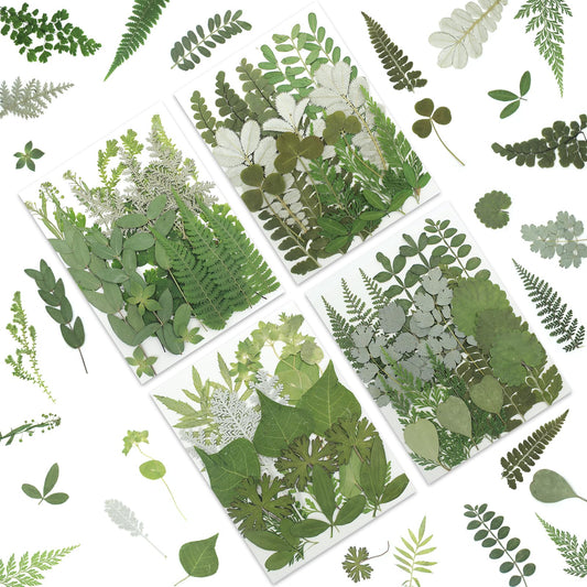 LUXEEASE 84P Dried Pressed Flowers and Leaves Kit - Natural Earthy Green Leaves, Ferns & Eucalyptus for Resin Art, Scrapbooking, Soap Making, Candle Making, DIY Gifts - Tweezers Included