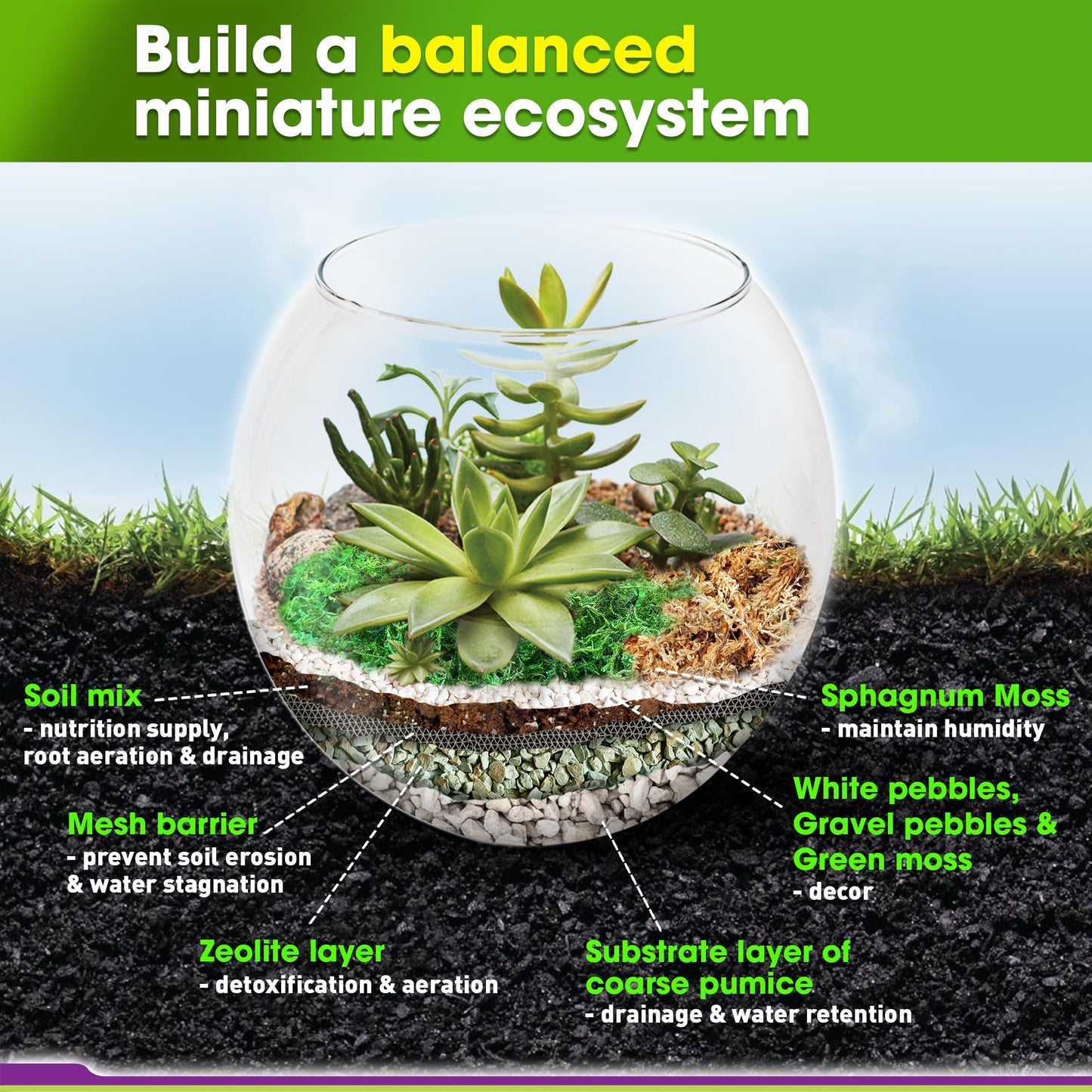 DUSPRO Recycle Terrarium Kit, Include Potting Soil, Pumice, Zeolite, Green Moss, Sphagnum Moss, Decorative Stone, Mesh, Tools, DIY Terrarium Kit for Kids, Air Plant, Succulent