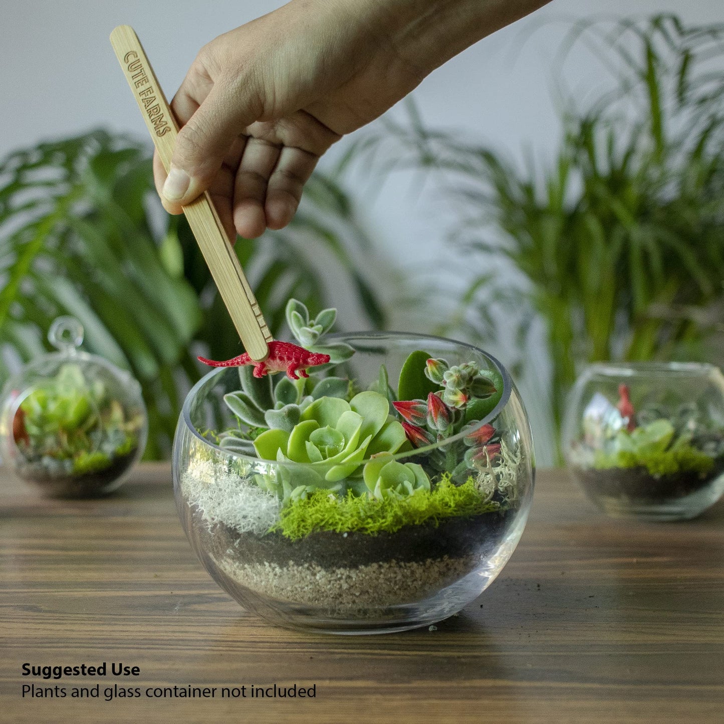 Cute Farms Terrarium Starter Kit | Moss, Vermiculite, Soil, Pebbles, Plant Food, Finishing Tools, Build and Care Guide | DIY Succulent Terrarium for Adults and Kids (Large)